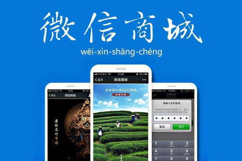 成都微信開(kāi)發(fā) 企業(yè)如何進(jìn)行微信二次開(kāi)發(fā)與基礎(chǔ)軟件服務(wù)
